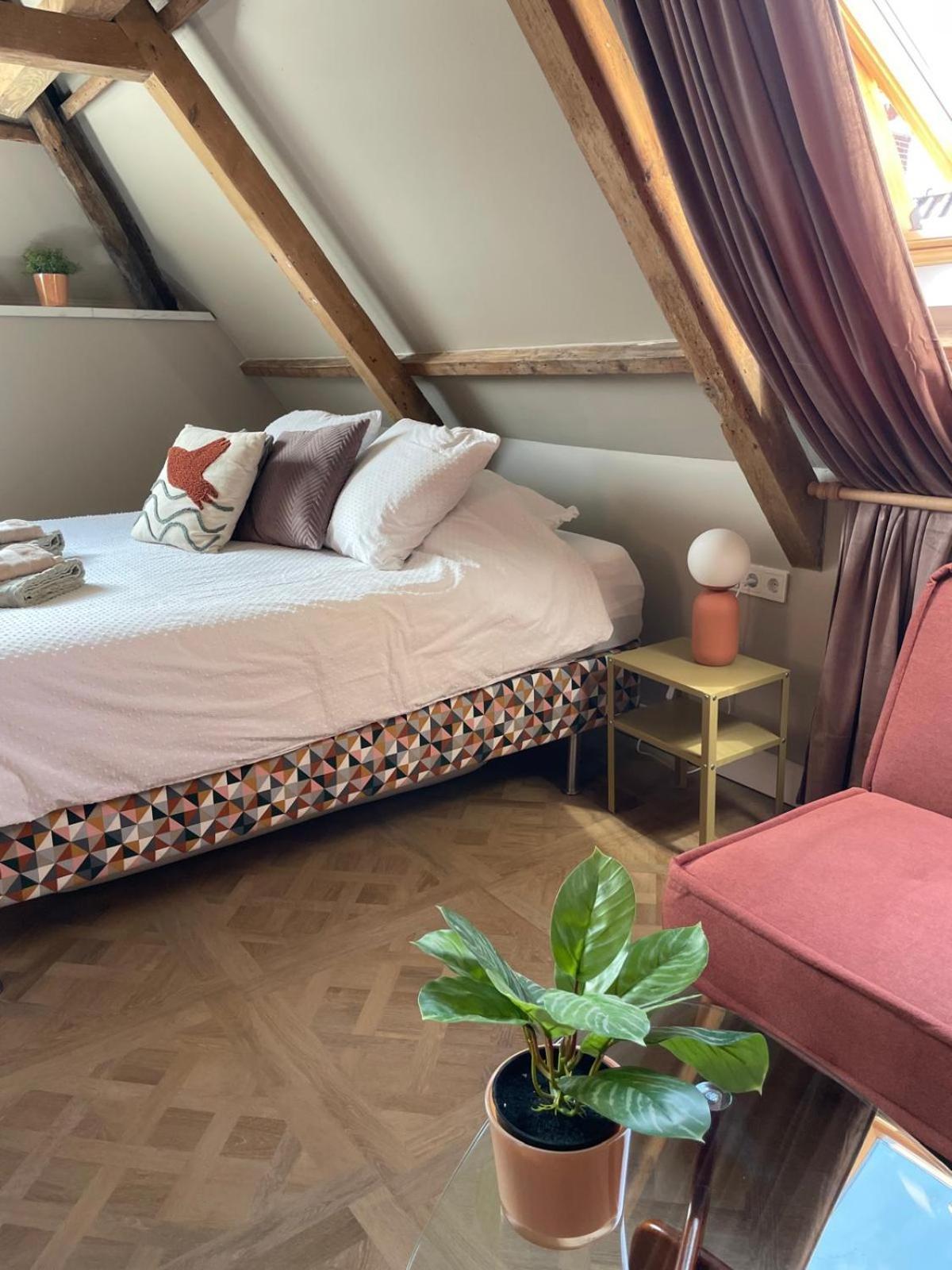 דוקום B&B Suupmarkt מראה חיצוני תמונה